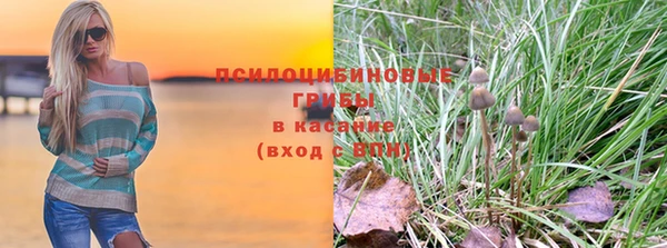 метадон Сафоново