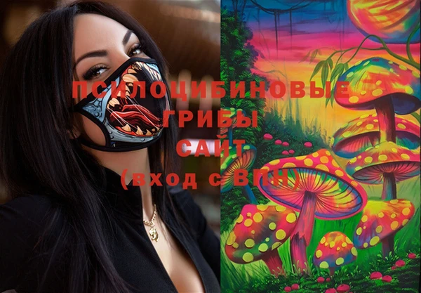 герыч Семилуки