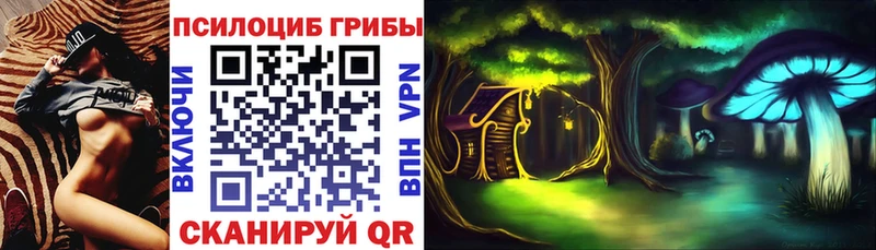 Псилоцибиновые грибы Psilocybine cubensis  Купить где  Урус-Мартан 